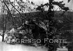 1955 Litchfield Tnpk