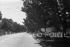 Whitney Ave & Home St