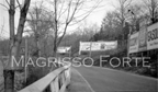 Black Forest Rd