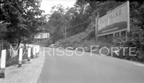 Black Forest Rd