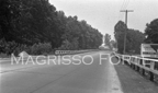 Milford Tnpk & Dogwood Rd