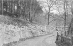 Farnam Drive