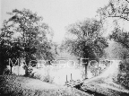Parker Pond