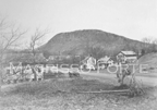 Whalley Ave & Fitch St