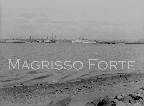 Harbor
