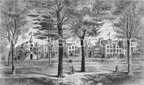 Wooster Square