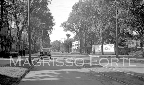 Shelton Ave & Bassett St