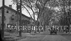 George St & Day St